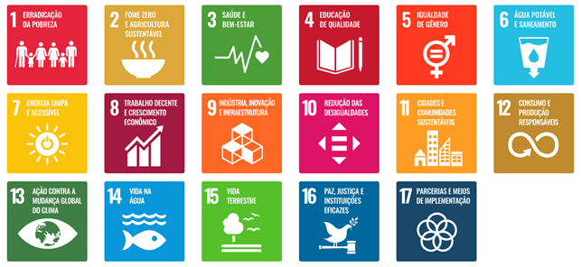 Imagem com os objetivos de Desenvolvimento Sustentável da ONU visando a agenda de 2030. A base do ESG.